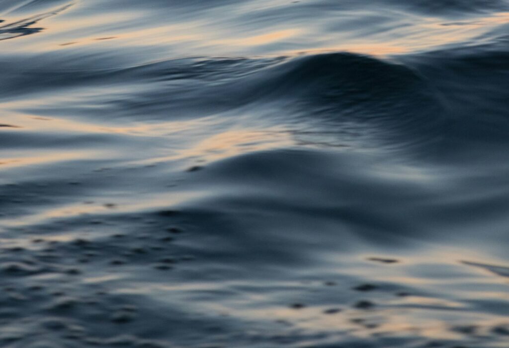 water jason-leung-0gZ1JLxqdus-unsplash